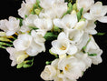 Load image into Gallery viewer, Scented Insert Refill - Freesia
